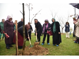 Fidanlar Toprak İle Buluştu