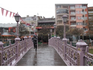 Karda Kışta Sokak Hayvanlarının Yardımına Koştular