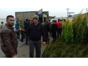 Suriye’de Ağaçlandırma Çalışmaları