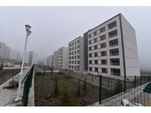 Yunuskent’te Çevre Düzenlemeleri Başladı