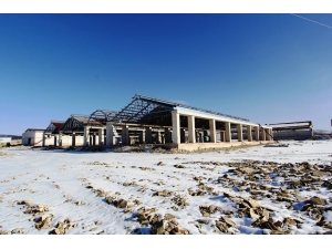 Hayvancılığın Kalbi Bayburt’ta Atacak