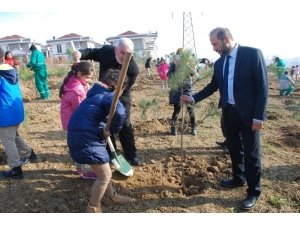 İzmit’te Kafkaslar İçin Hatıra Ormanı