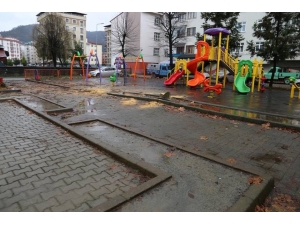 Arhavi’de Koruma Altındaki Çınara Gece Kıyımı