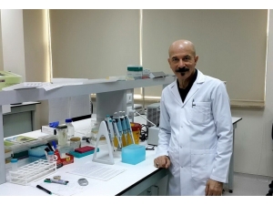 Genetik Uzmanı Bağış: “Sigara İçenlerin Y Kromozomları Kayboluyor”