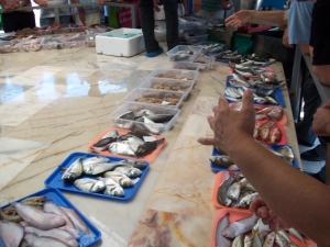 Urla’da Deniz Yüzde 95 Temizlendi