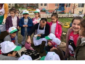 Gölyaka’da Minik Eller Tohum Ekti