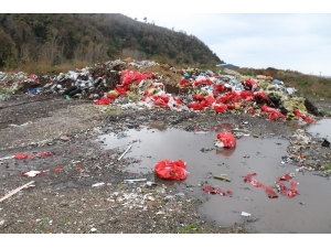 Zonguldak’ta Çevreyi Kirleten Firmalara 48 Milyon 391 Bin Lira Ceza