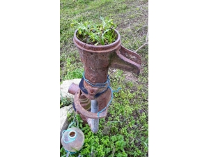 Kuruyan Tulumba Çiçek Açtı