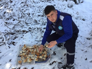 Yaban Hayatı Koruma Altında