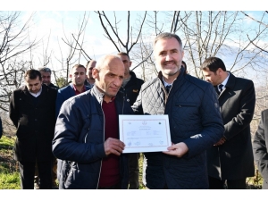 25 Çiftçi Meyve Budama Sertifikasını Aldı