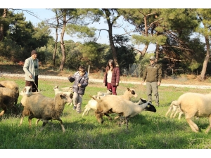 Babanın Mesleği, Otizmli Çocuğa Terapi Oldu