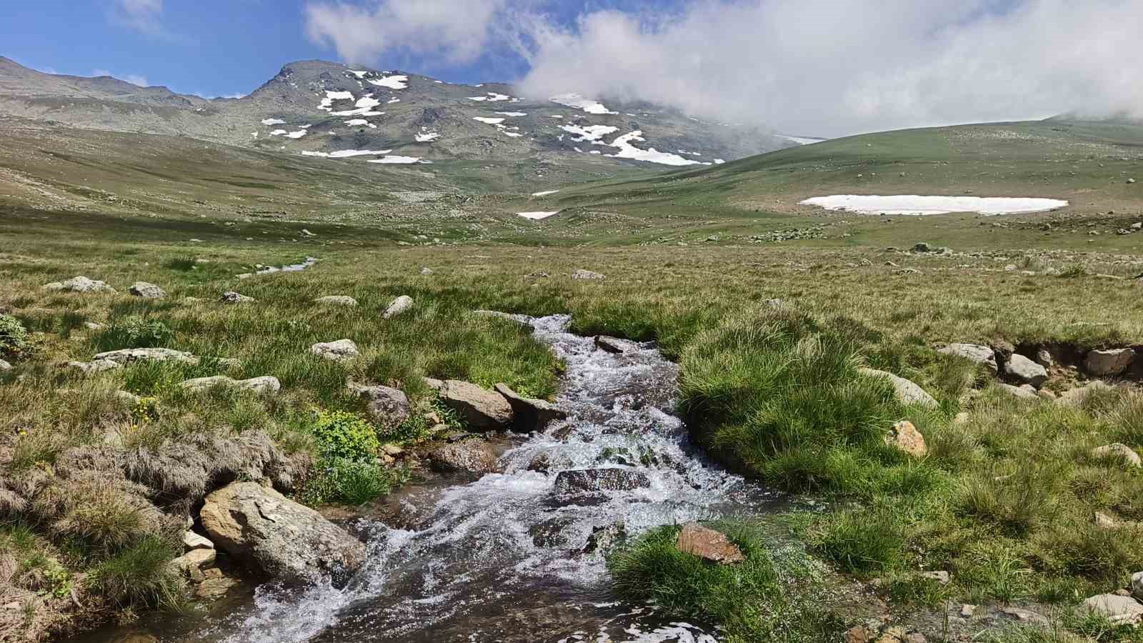ordu-nun-yaylalarinda-yaz-guzelligi