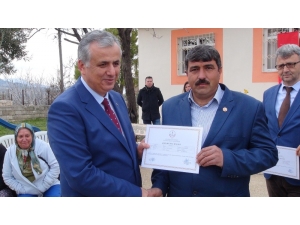 Zeytin Ağacı Budamayı Öğrendiler