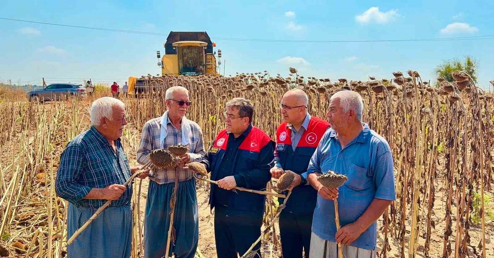 tarsus-ta-ayciceginde-4-bin-485-ton-rekolte-bekleniyor