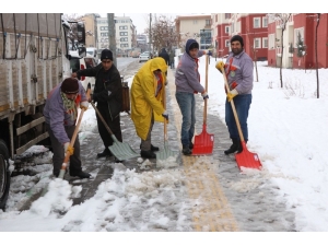 Bingöl’de Karla Mücadele Çalışmaları