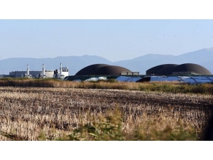 2023 Yılına Kadar Enerji Tüketiminin Yüzde 20’sini Yenilenebilir Kaynaklardan