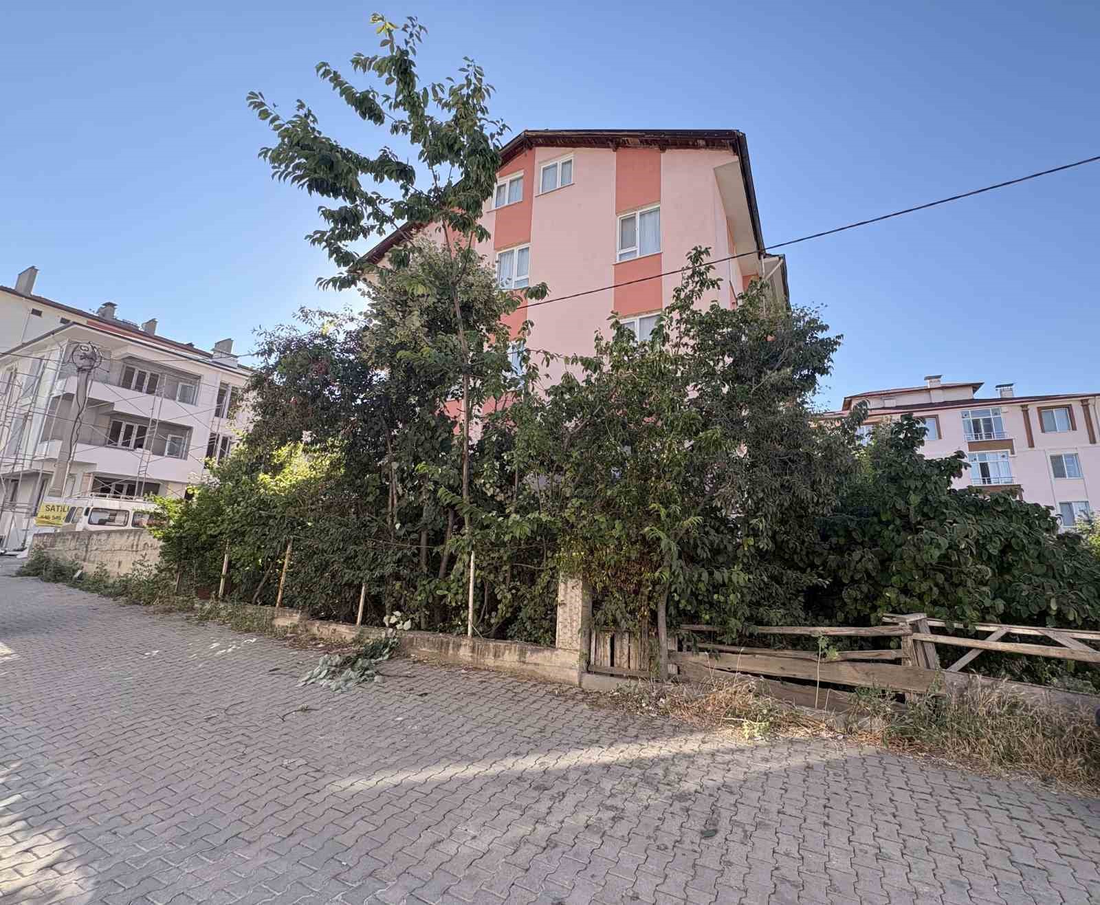 ihlamur-agacindan-dusen-emekli-ogretmen-yaralandi
