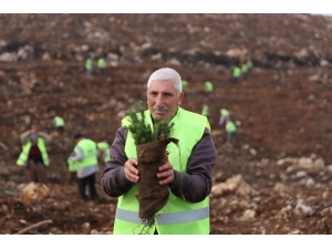 Milyonlarca Fidanın ’Naki Dede’si