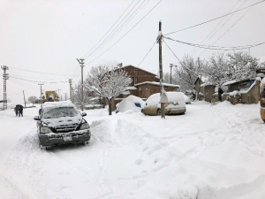 Bingöl’de 278 Köy Ve 4 İlçenin Yolu Ulaşıma Kapandı