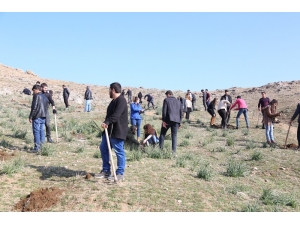 Geleceğin İçin Bir Fidan Da Sen Dik