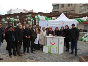 Van’da Rahim Ağzı Kanseri İçin Farkındalık Çalışması