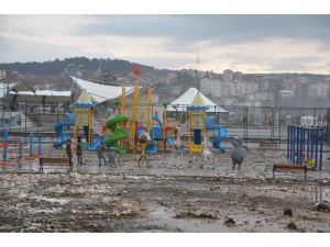 Başkan Tekin, Hasar Gören Alanlarda İncelemelerde Bulundu