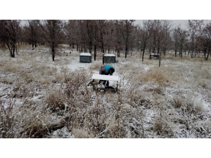 Niğde Belediyesi Sokak Hayvanlarını Unutmadı