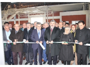 Türk Şekeri Paketler Halinde Afyonkarahisar’dan Piyasaya Sürülecek