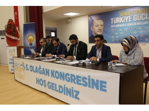 Ak Parti Ceylanpınar Gençlik Kolları Kongresi Gerçekleştirildi