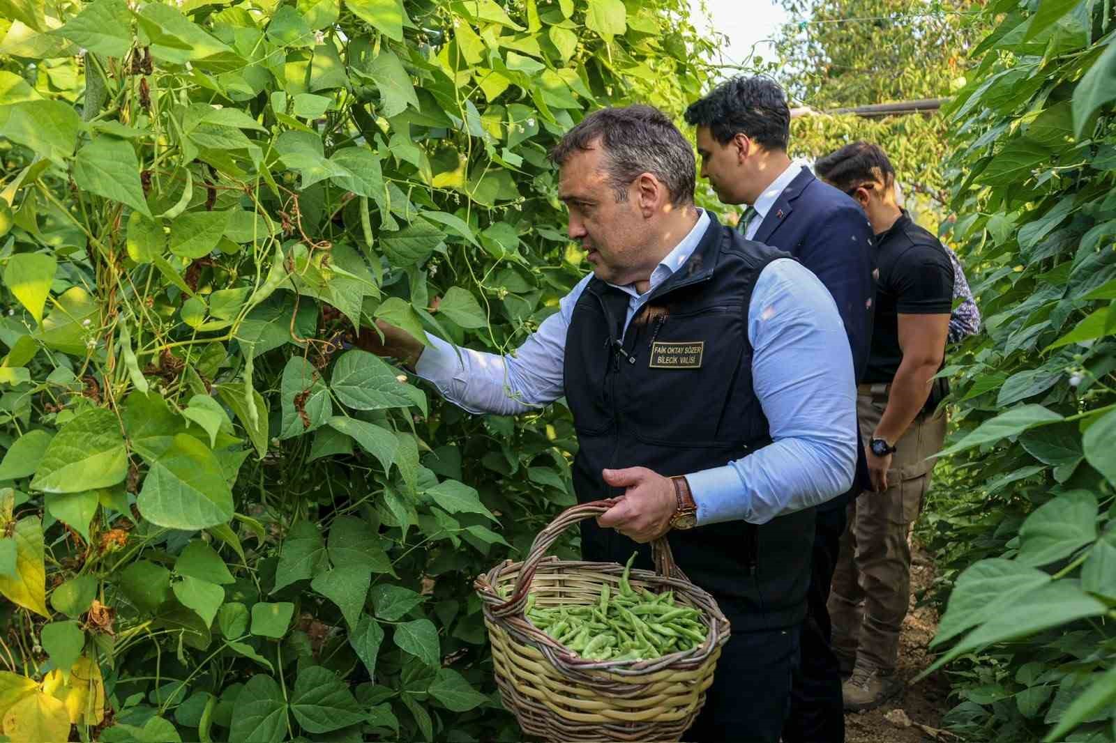 tescilli-pazaryeri-boncuk-fasulyesi-nde-hasat-sezonu-basladi