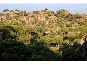 Beşparmak Dağları’ndaki Gün Doğumu Büyülüyor