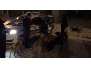 Kars Polisi Örnek Davranış