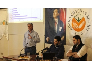 Turunçgillerde Tüketim Sezonu Uzuyor