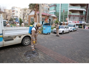Haliliye’den Selahattin Eyyubi’de İlaçlama Ve Budama Çalışması