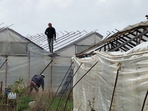 Alanya’da Oluşan Hortum Seralara Zarar Verdi