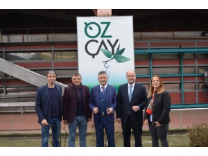 2,5 Yapraklı Organik Yeşil Çay İçin Dünya Sıraya Girdi