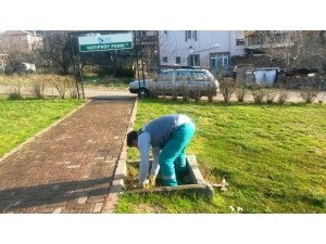 İzmit Belediyesi Parkalarda Bakım Yapıyor