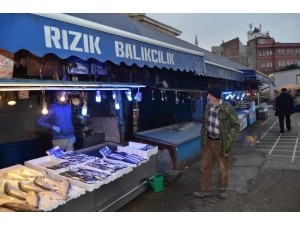 Ne Rus, Ne De Gürcü Hamsisi Çare Olmadı