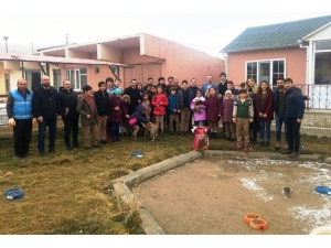 Minikler Sokak Hayvanlarını Unutmadı