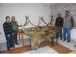 Milli Parklar 2017 Yılında 150 Bin Tl Para Cezası Kesti