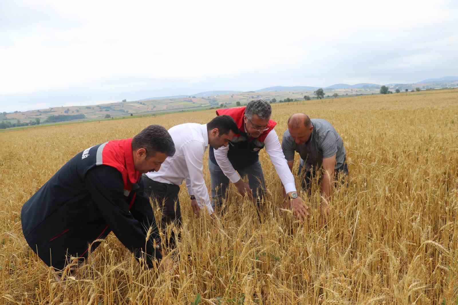 samsun-da-dolu-afetinde-40-bin-dekar-tarim-arazisi-olumsuz-etkilendi