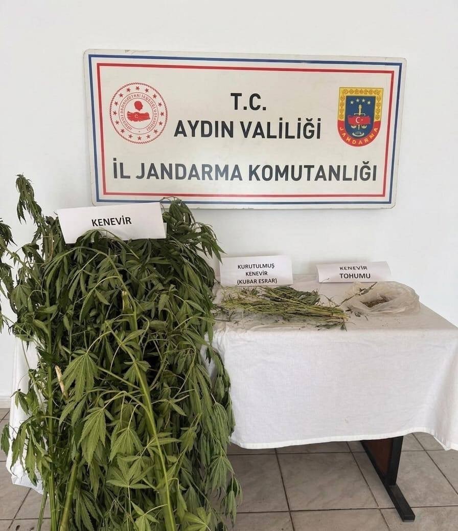 efeler-de-kenevir-operasyonu