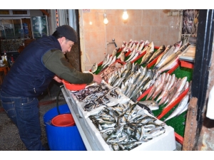 Balık Fiyatları El Yakıyor