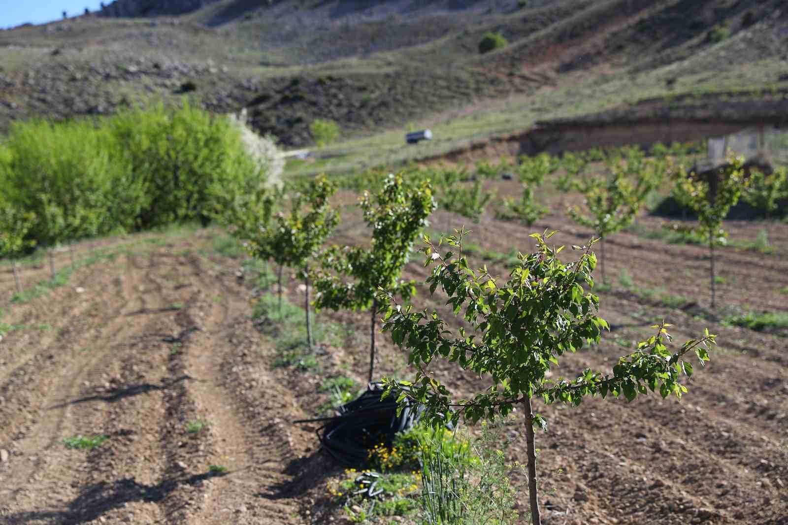buyuksehir-in-enerji-destegi-ile-antalya-tarimi-kazaniyor