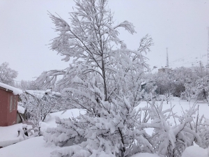 Kar İlçeyi Kapladı, Yollar Kapandı, Elektrikler Gitti