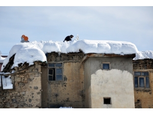 Tunceli’de Kar 116 Köy Yolunu Kapattı