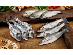 Denizden 160 Milyon Dolar Çıktı