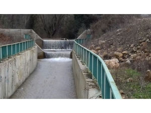 Su Kanalına Düşen Karaca Kurtarıldı