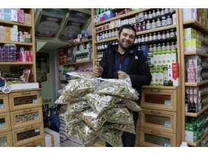 Kışın Vazgeçilmezi Ihlamur 70 Tl’den Satılıyor