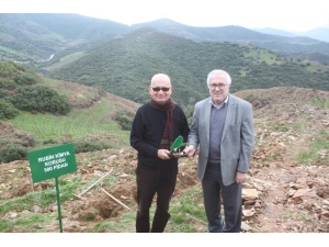 Çalışanları Ve Müşterileri İçin 500 Fidan Diktiler